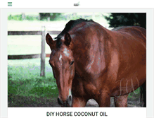 Tablet Screenshot of horseshoenation.com